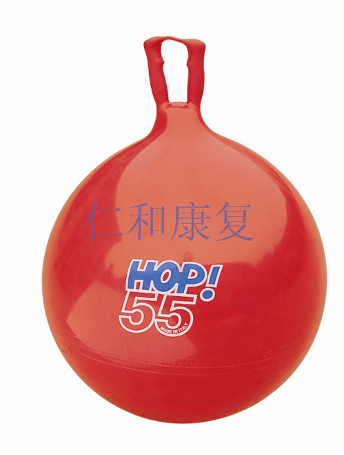 弹跳球55cm(进口)